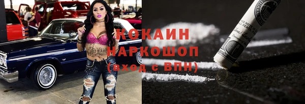 сатива Беломорск