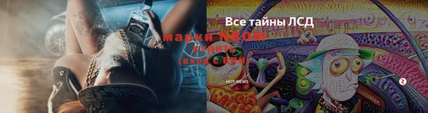 эйфоретик Белокуриха