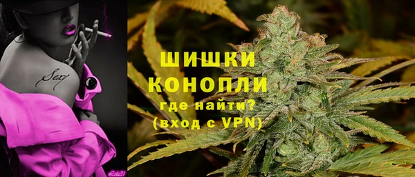 сатива Беломорск