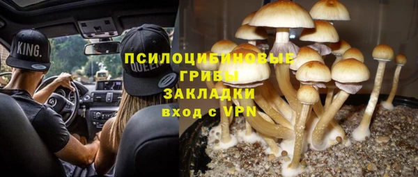 эйфоретик Белокуриха