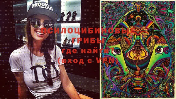 эйфоретик Белокуриха