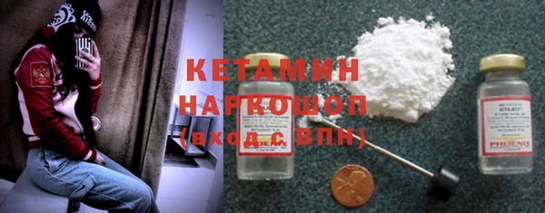 сатива Беломорск