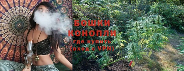 эйфоретик Белокуриха