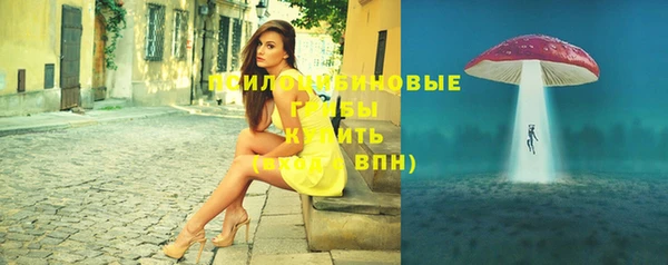эйфоретик Белокуриха