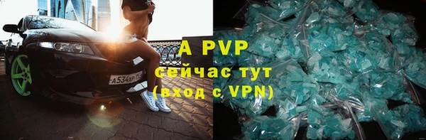 сатива Беломорск