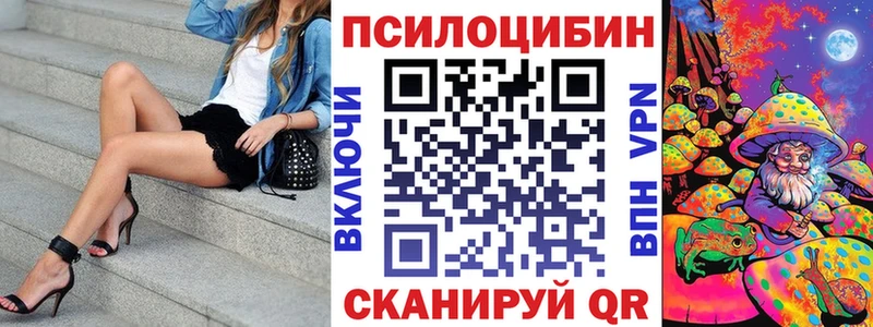 где продают наркотики  Сычёвка  Галлюциногенные грибы Magic Shrooms 